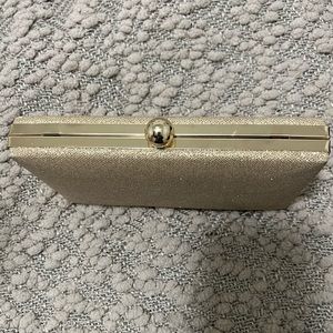 Badgley Mischka clutch purse